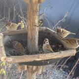 photo 2019-12-30 12-52-04