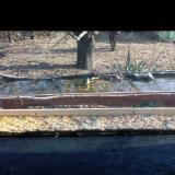 photo 2021-11-30 12-20-10