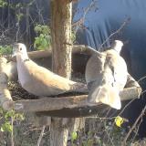 photo 2019-12-17 14-04-52