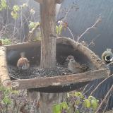 photo 2019-12-15 07-32-06