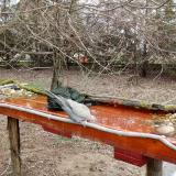 photo 2021-03-18 08-11-40