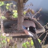 photo 2019-12-12 12-58-15