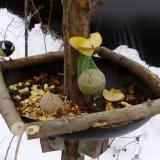 photo 2019-01-12 13-40-23