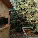 photo 2022-01-01 14-23-21