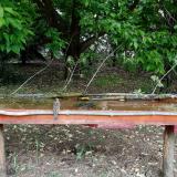 photo 2021-05-15 13-53-10