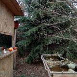 photo 2021-12-18 14-07-47