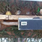 photo 2021-02-12 09-18-20