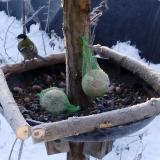 photo 2019-01-11 08-25-55