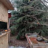 photo 2021-12-27 14-07-59