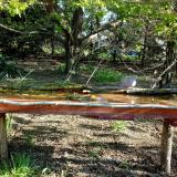 photo 2021-04-24 07-53-48