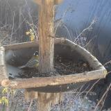 photo 2019-12-30 12-15-47