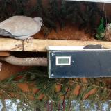 photo 2021-02-11 15-39-09