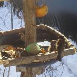 photo 2019-01-27 09-53-40