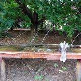 photo 2021-08-03 17-22-18