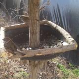 photo 2019-03-13 08-39-48