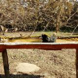 photo 2021-03-11 10-33-18