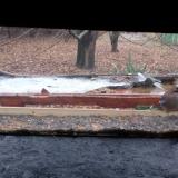 photo 2021-12-05 09-46-50