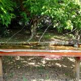 photo 2021-05-12 11-11-15