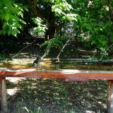 photo 2021-05-21 09-12-14