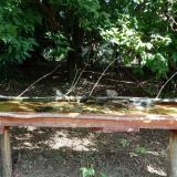 photo 2021-08-04 10-16-49