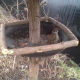 photo 2019-02-22 13-46-47