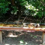 photo 2021-07-24 10-02-33