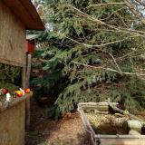 photo 2021-12-18 13-21-20