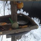 photo 2019-01-25 16-01-48