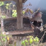 photo 2019-12-12 11-49-08