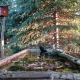 photo 2023-10-03 07-37-11