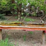 photo 2021-04-28 13-59-13