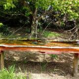 photo 2021-04-29 11-16-41