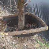 photo 2019-03-03 11-28-20