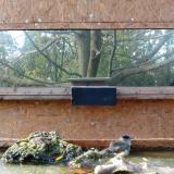 photo 2023-10-26 14-25-44