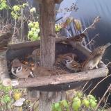 photo 2019-12-09 12-46-13