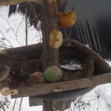 photo 2019-01-27 11-49-35