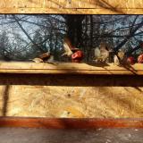 photo 2022-01-15 10-58-59