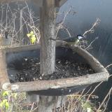 photo 2019-12-26 09-24-33