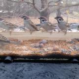 photo 2021-11-10 08-39-48