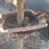 photo 2019-02-14 07-35-53