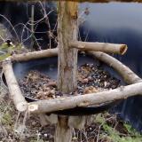 photo 2019-01-02 09-27-40