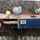 photo 2021-02-02 14-01-28