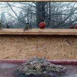 photo 2022-01-16 08-24-29