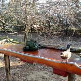 photo 2021-03-21 07-49-37