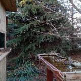 photo 2021-11-18 15-20-04