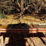 photo 2021-10-24 12-03-54