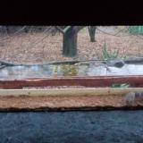 photo 2021-11-28 15-17-09