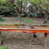 photo 2021-04-17 16-49-18