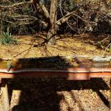 photo 2021-10-24 12-03-13