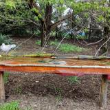 photo 2021-04-19 10-52-21